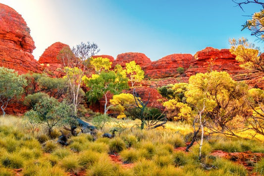 The colours of the Outback