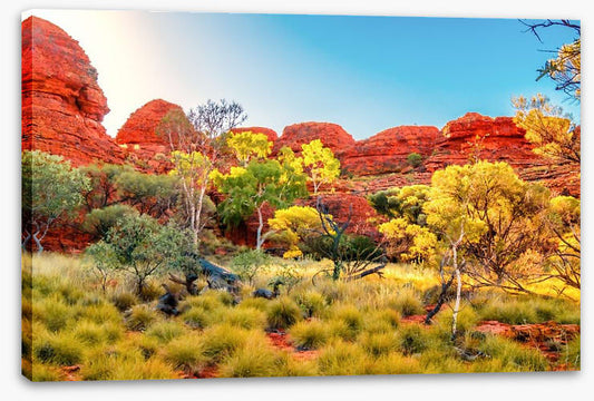 The colours of the Outback