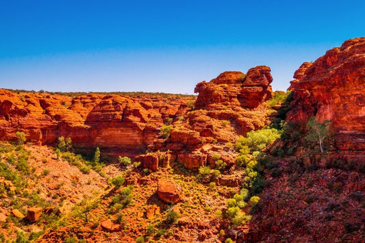 Red earth wilderness