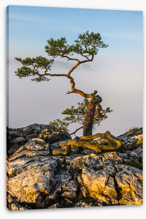 Alone at the top