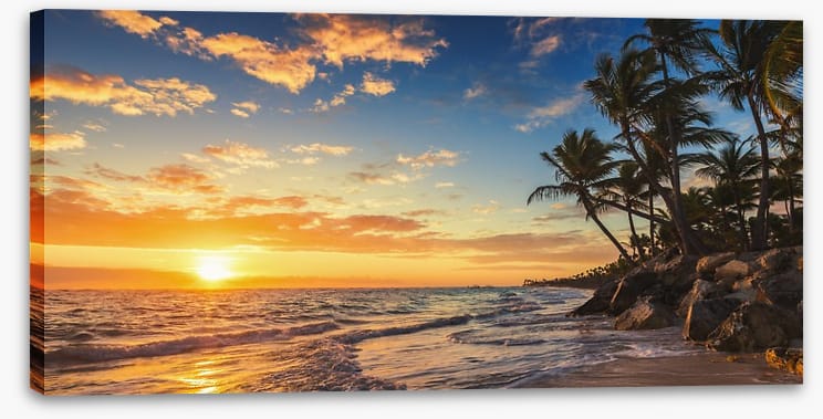Palm tree paradise