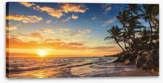 Palm tree paradise