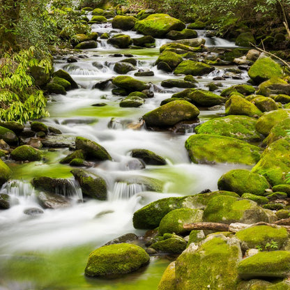 Rivers