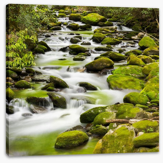 Rivers