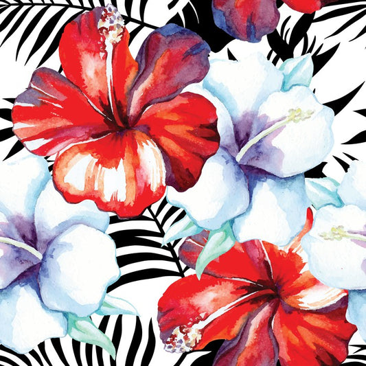 Hibiscus palm