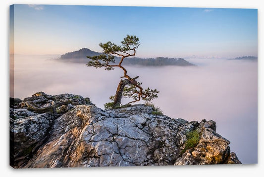 Ruling the mist