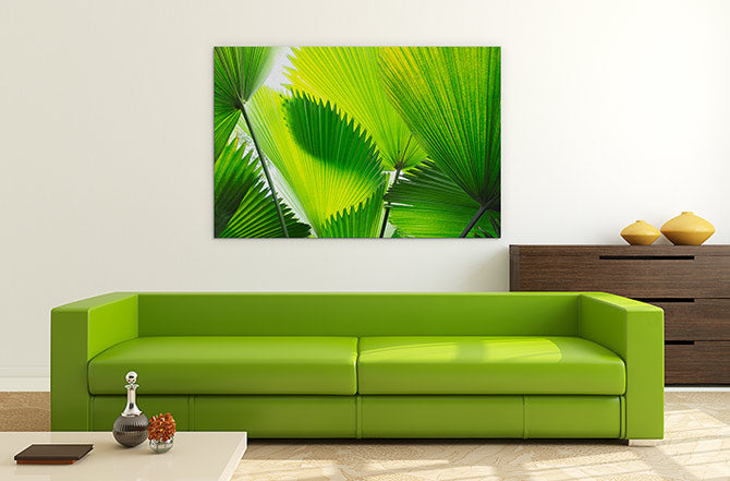 Green palm fronds
