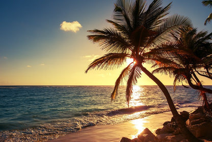 Tropical island sunset