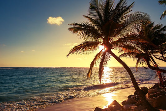 Tropical island sunset