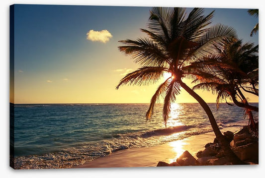 Tropical island sunset