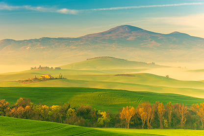 That Tuscan light