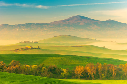 That Tuscan light