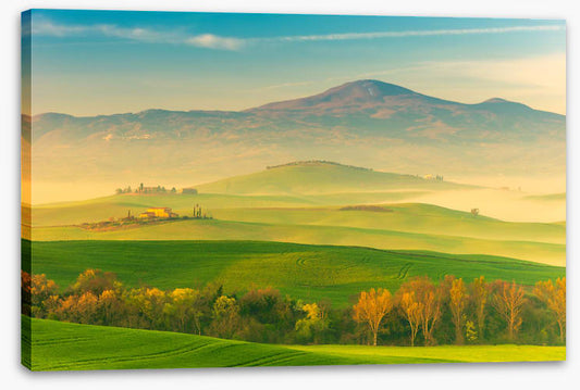 That Tuscan light