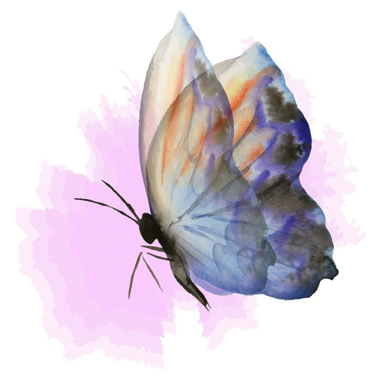Aquarelle butterfly