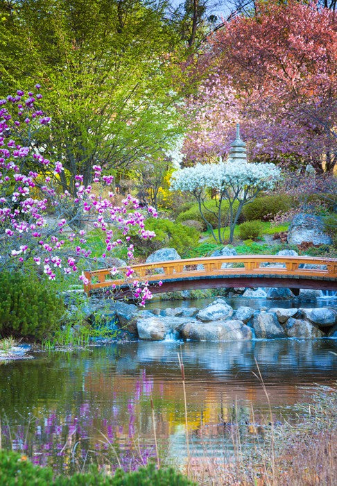 Garden of zen