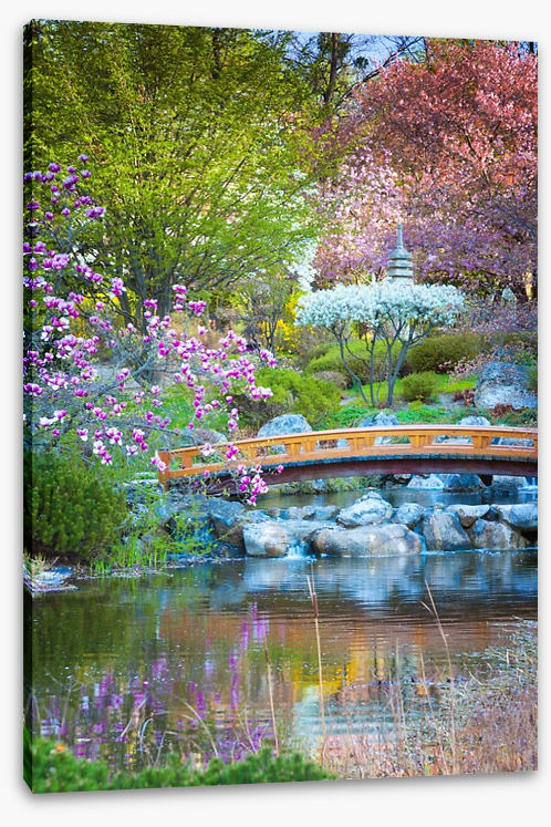 Garden of zen