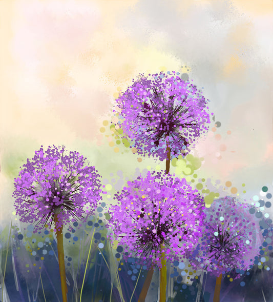 Allium allure