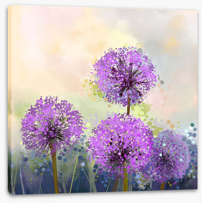 Allium allure