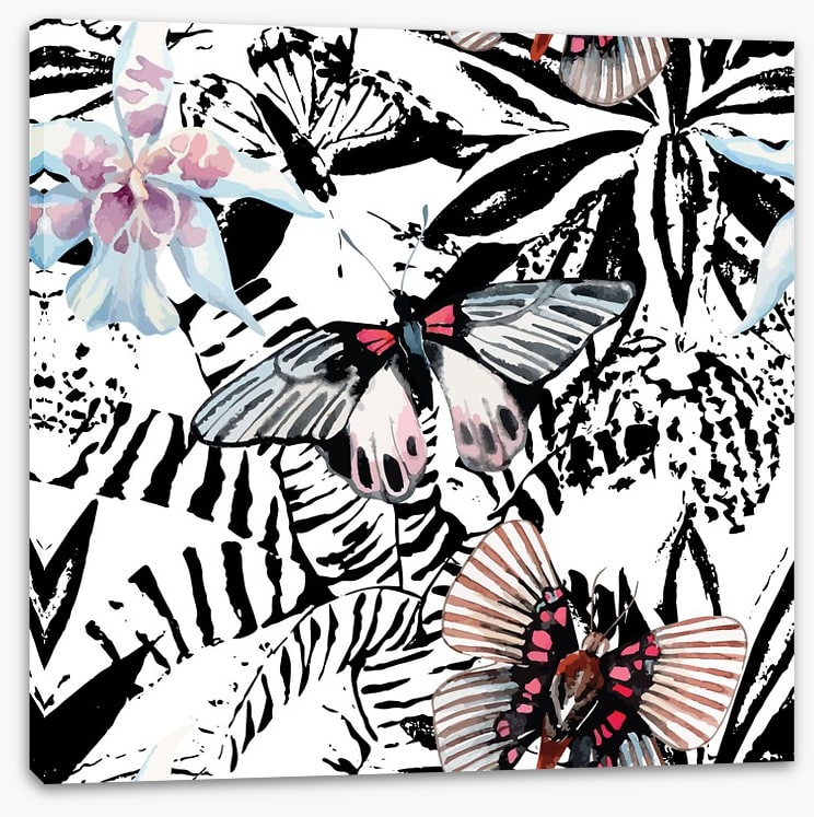 Butterflies