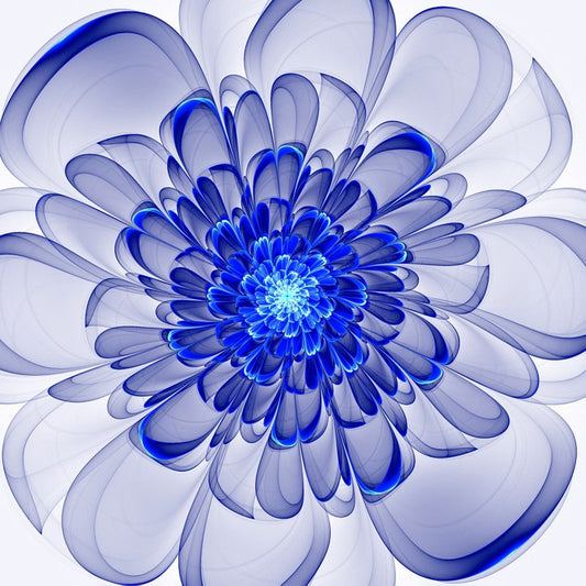 Indigo bloom