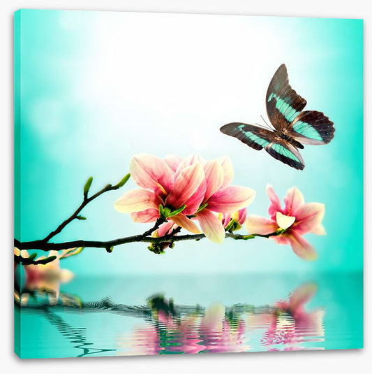 Butterfly magnolia