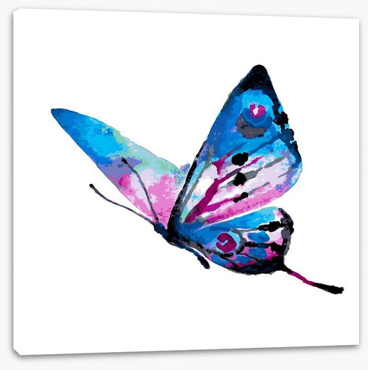 Watercolour wings