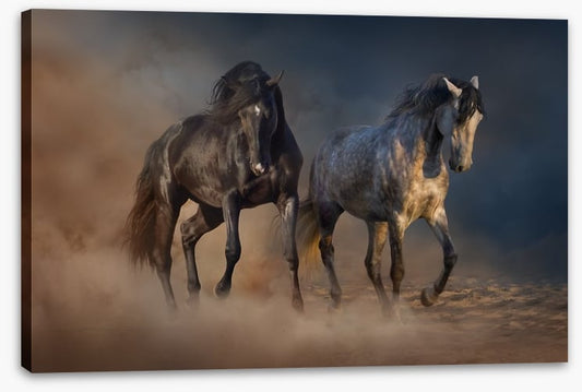 Horses in the desert dust