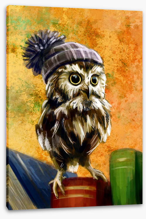Bookish owl