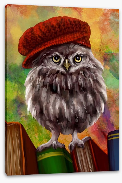 Bookish owl