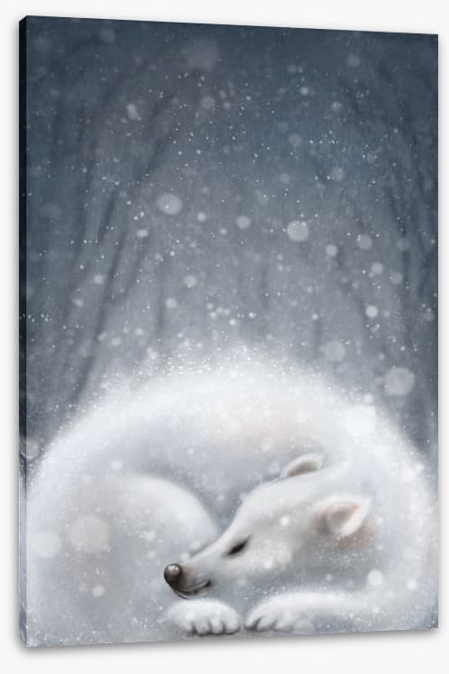 Sleeping in the snow