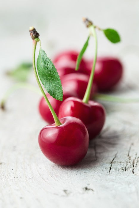 Sour cherry