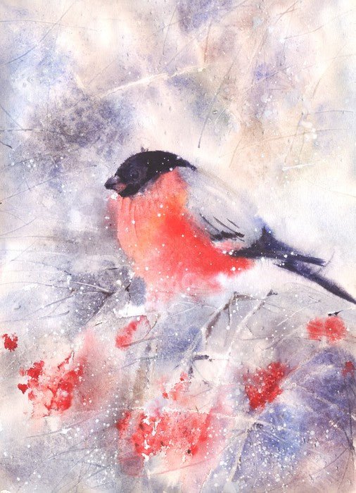 Bullfinch in the frost