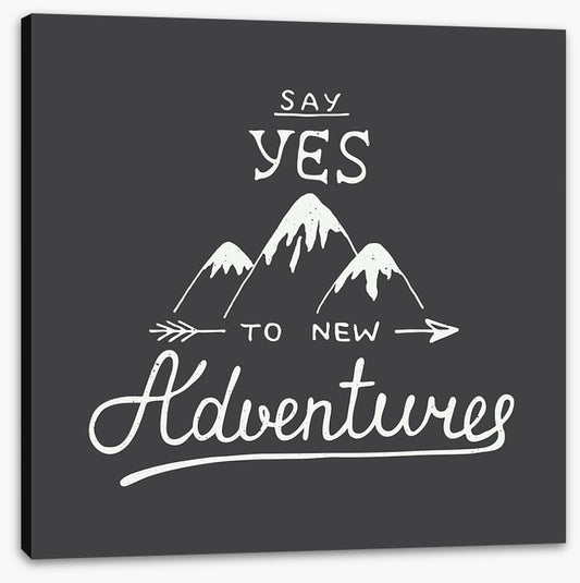 New adventures