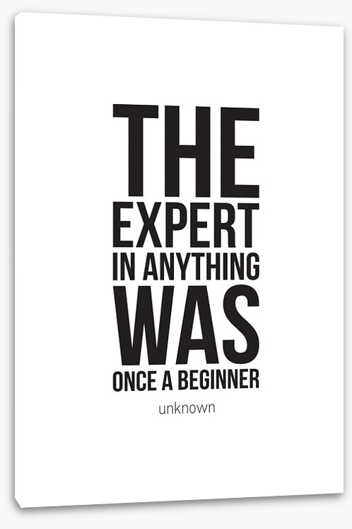 The expert