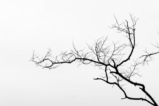 Branch left