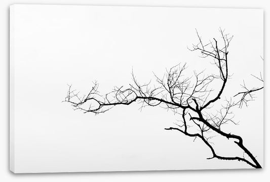Branch left