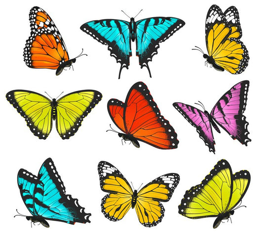 Butterflies