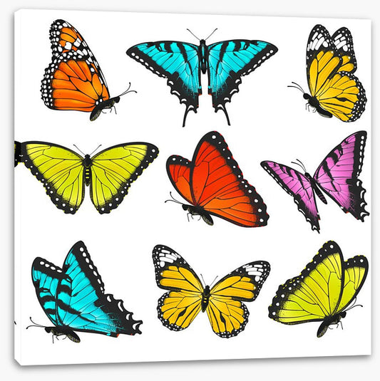 Butterflies