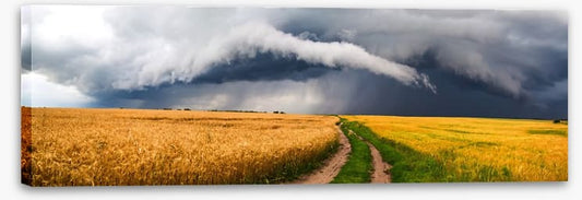 Storm in the rye