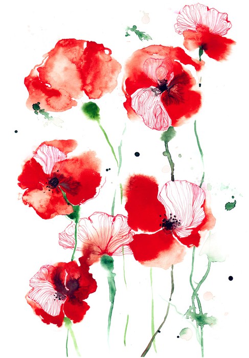 Poppy vitality