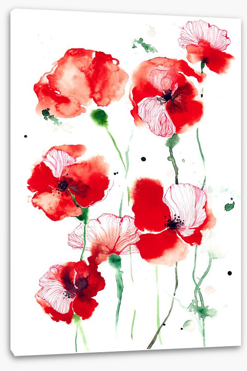 Poppy vitality