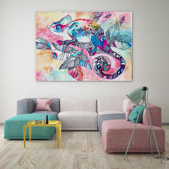 Colourful chameleon