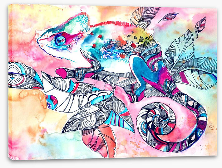 Colourful chameleon
