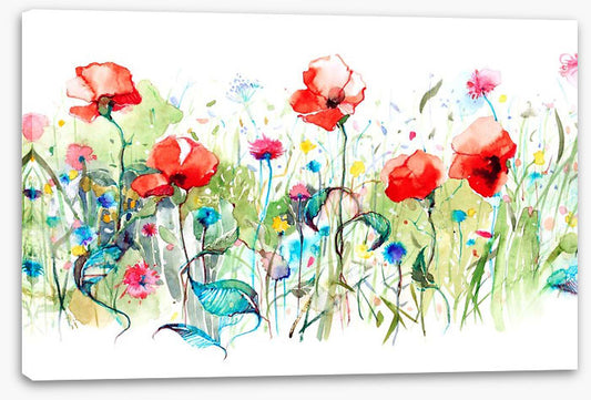 Wild poppies