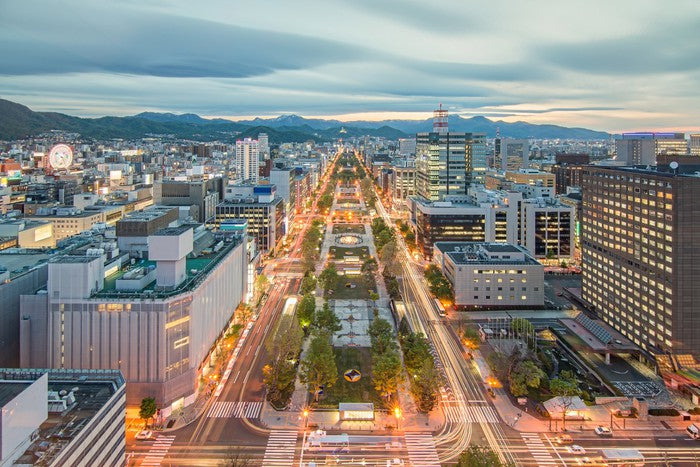 Sapporo skyline