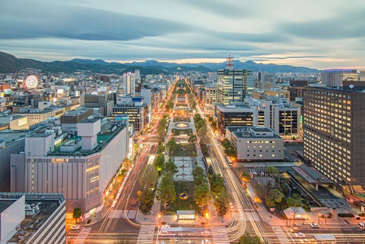 Sapporo skyline