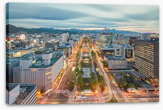 Sapporo skyline