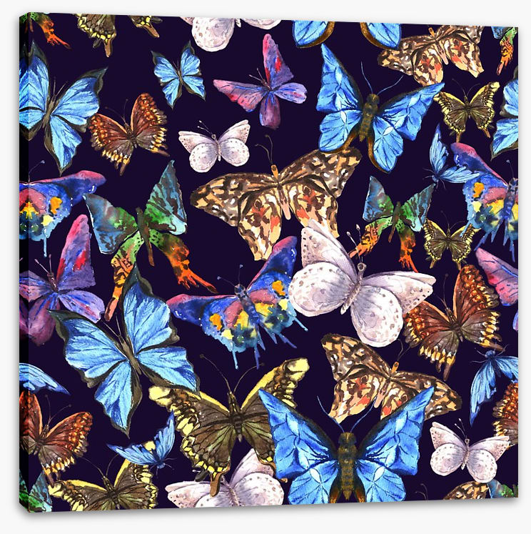 Butterflies