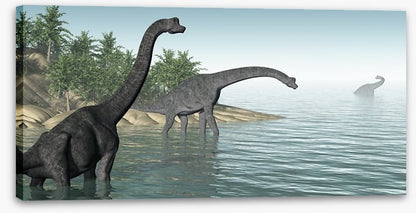 Brachiosaurus paddle