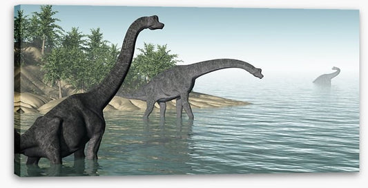 Brachiosaurus paddle